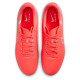 Nike Legend 10 Academy FG/MG